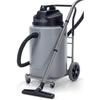 Vacuum Cleaner Wet 110V